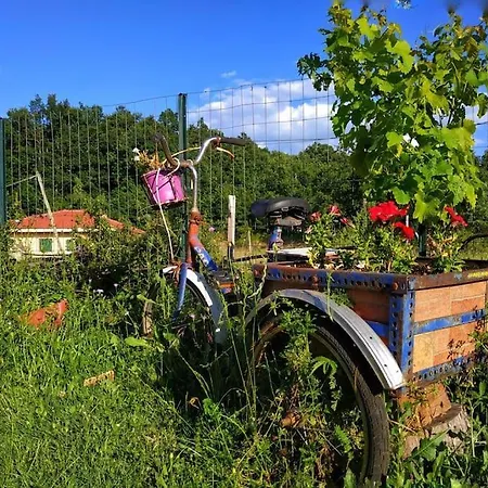 Eftychia's Home-σπίτι με θέα τη λίμνη πλαστήρα