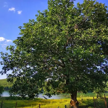 Eftychia's Home-σπίτι με θέα τη λίμνη πλαστήρα Сasa de vacaciones Agios Athanasios (Karditsa)
