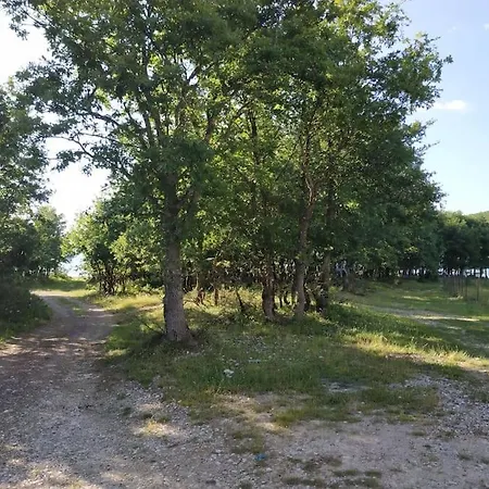 Dom wakacyjny Eftychia's Home-σπίτι με θέα τη λίμνη πλαστήρα Agios Athanasios (Karditsa)