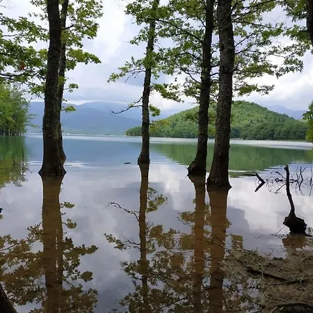 Ferienhaus Eftychia's Home-σπίτι με θέα τη λίμνη πλαστήρα Agios Athanasios (Karditsa)