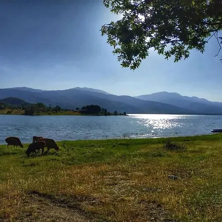 Eftychia's Home-σπίτι με θέα τη λίμνη πλαστήρα Ferienhaus Agios Athanasios (Karditsa)
