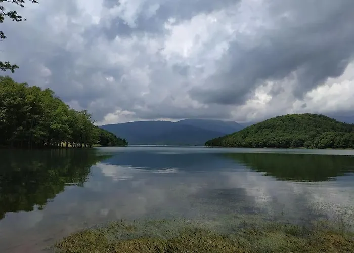 Holiday home Eftychia's Home-σπίτι με θέα τη λίμνη πλαστήρα