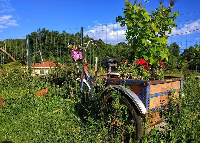 Eftychia's Home-σπίτι με θέα τη λίμνη πλαστήρα