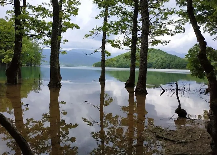 Сasa de vacaciones Eftychia's Home-σπίτι με θέα τη λίμνη πλαστήρα Agios Athanasios (Karditsa)