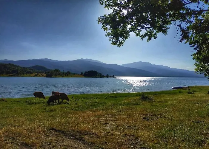 Eftychia's Home-σπίτι με θέα τη λίμνη πλαστήρα Holiday home Agios Athanasios (Karditsa)